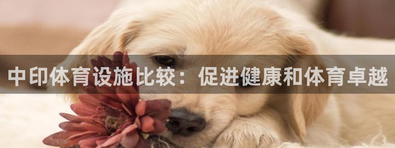 尊龙人生就是博ag旗舰厅