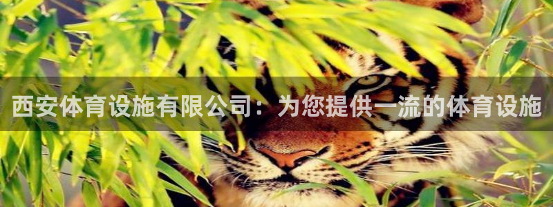 尊龙凯时官网
