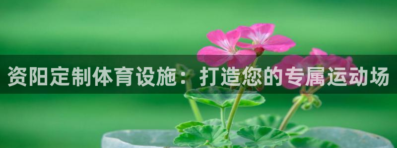 凯时APP官网首页