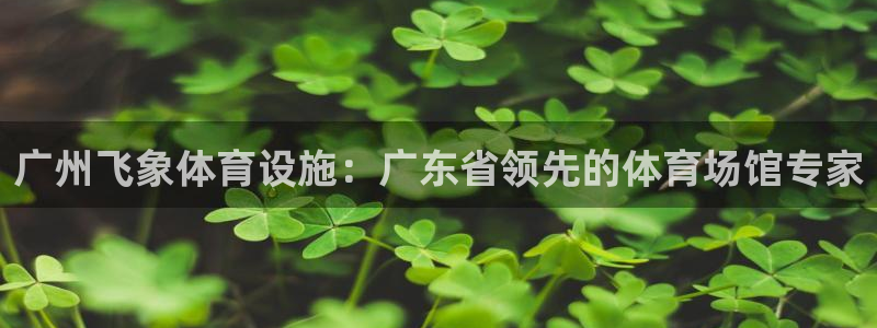 尊龙凯时平台怎么样