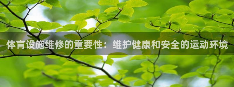 尊龙人生就是博用现金玩一下