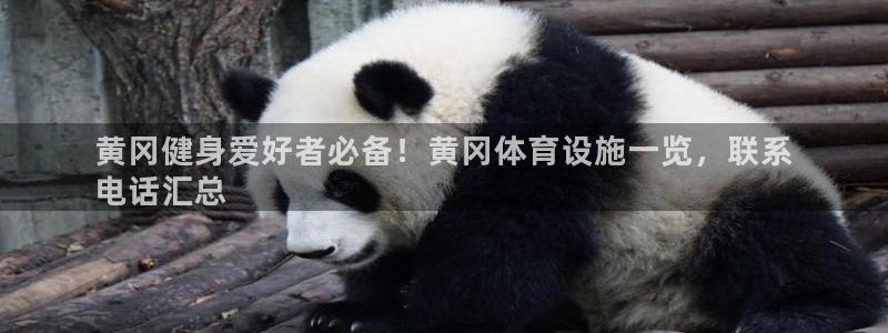 尊龙凯时平台怎么样