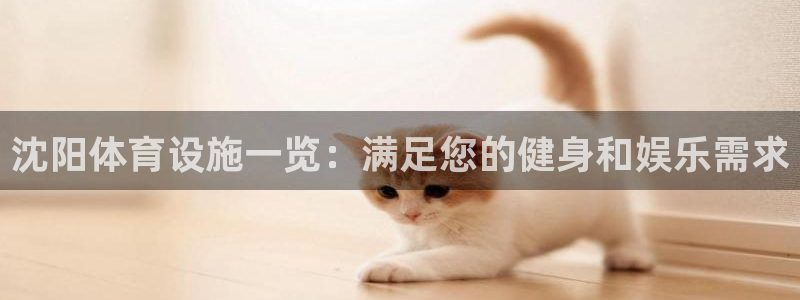 尊龙贴吧