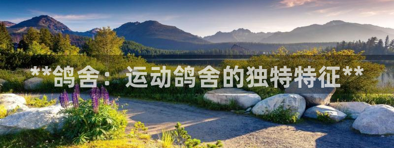 凯时网上官方网站