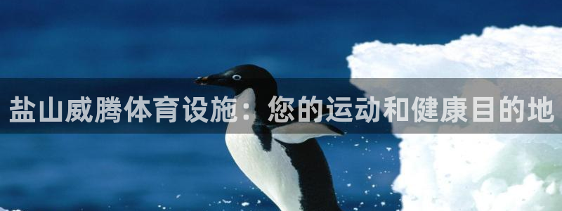 凯时k66登录