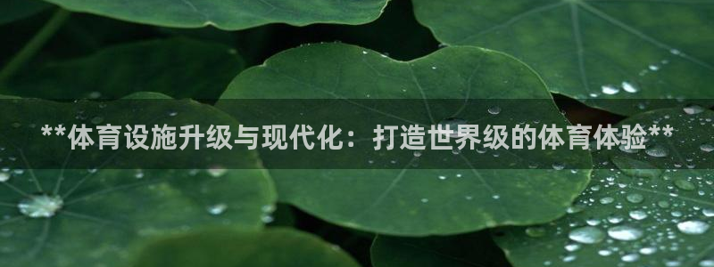 尊龙凯时网娱乐最新版