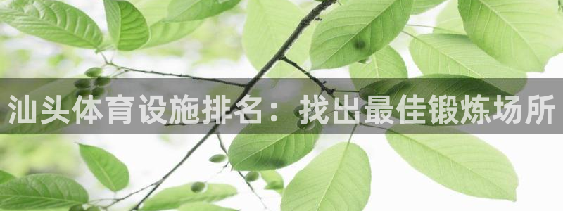 尊龙服饰有限公司地址