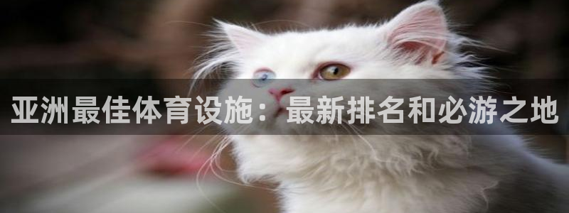 尊龙注册码