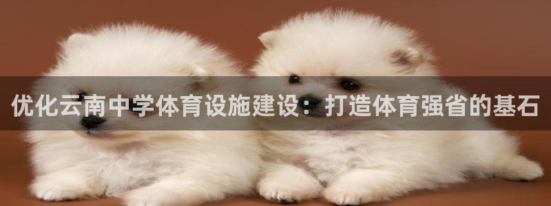 尊龙官方网站是真的吗