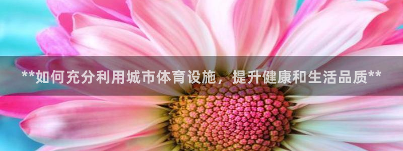 尊龙凯时总部在哪里
