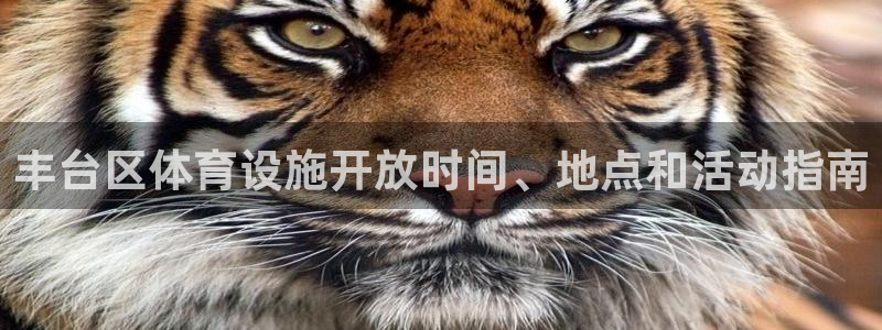 尊龙一人生就是博电子游戏