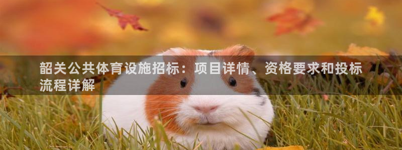 尊龙官网注册