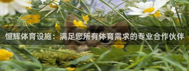 尊龙人生就是博网站