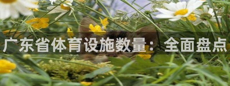 尊龙网站登录