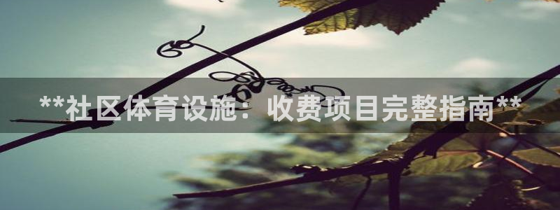 尊龙凯时官网正规吗