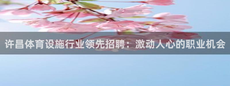 尊龙 am i blue