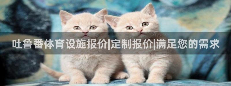 尊龙凯时提现不了