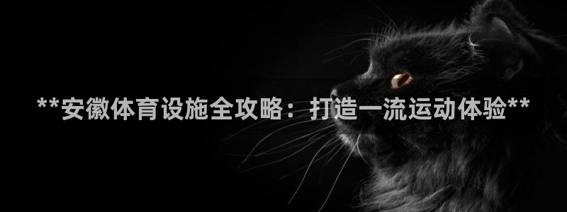 凯时国际app首页登录