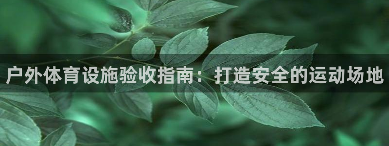尊龙手机版