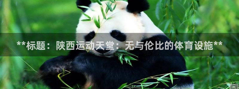 尊龙d88官网去来就送38