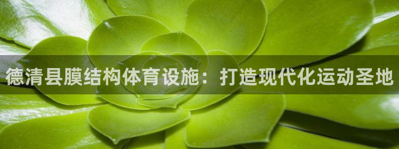 尊龙凯时输钱的原因
