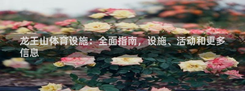 凯时K8国际