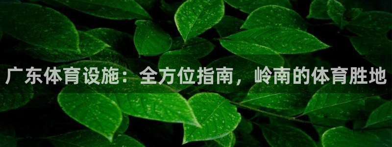 尊龙凯时官方下载