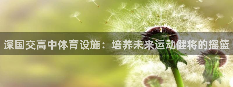 尊龙凯时公司官网