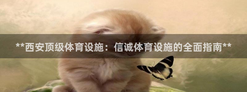 凯时国际app登录