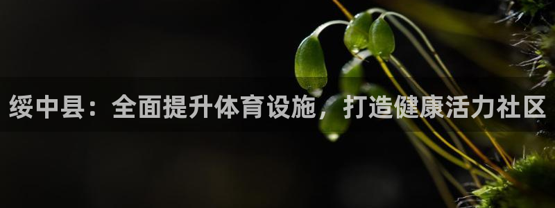 凯时APP官网首页