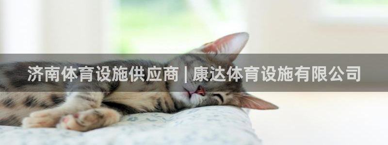 尊龙手机官方客户端下载安卓