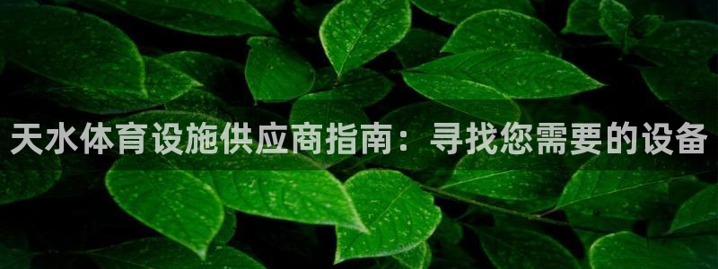 尊龙人生就是博旧版现金娱乐一下