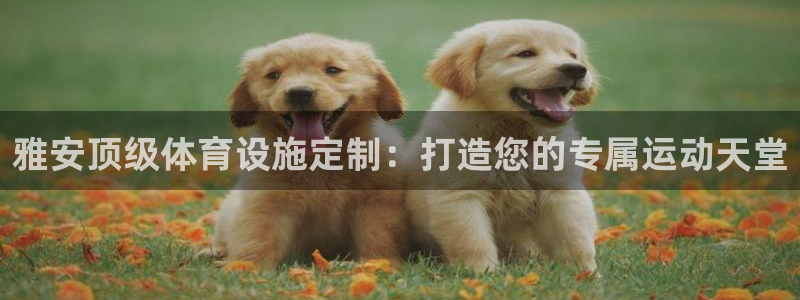 尊龙凯时不朽情缘