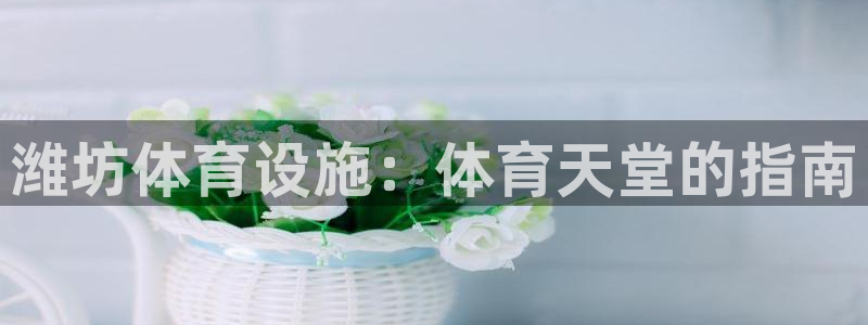 尊龙新版手机app下载