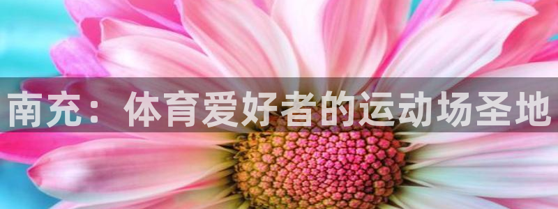 尊龙人生就是搏