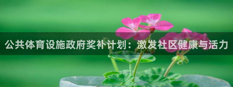 新版尊龙99