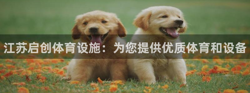 尊龙凯时网站是什么地方人开的