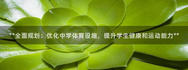 凯时k66会员登录
