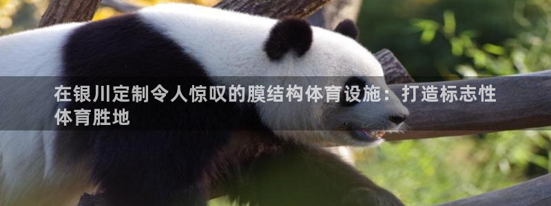 尊龙手机客户端app