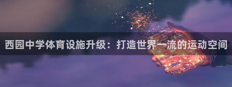 尊龙传奇英文怎么写