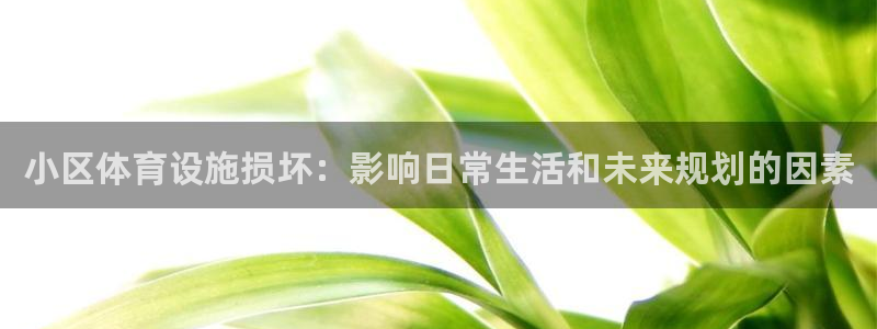 d88尊龙官网手机app