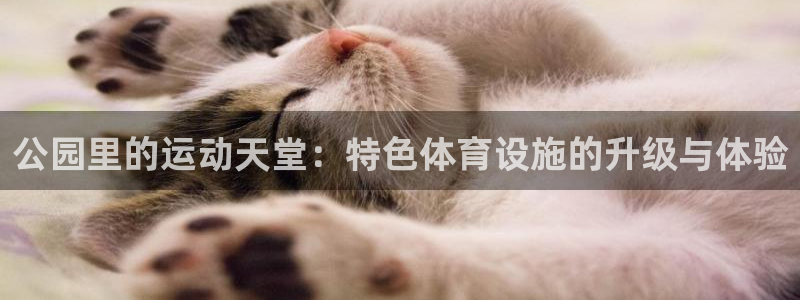尊龙app下载官网