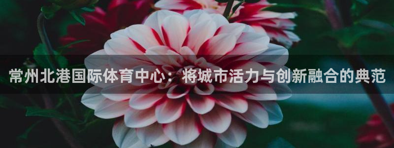 尊龙凯时导航菜单首页