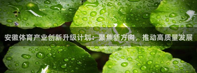 尊龙人生就是博手机版下载