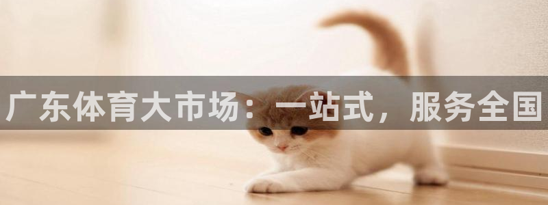 尊龙官网首页