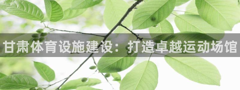 尊龙凯时官方网站